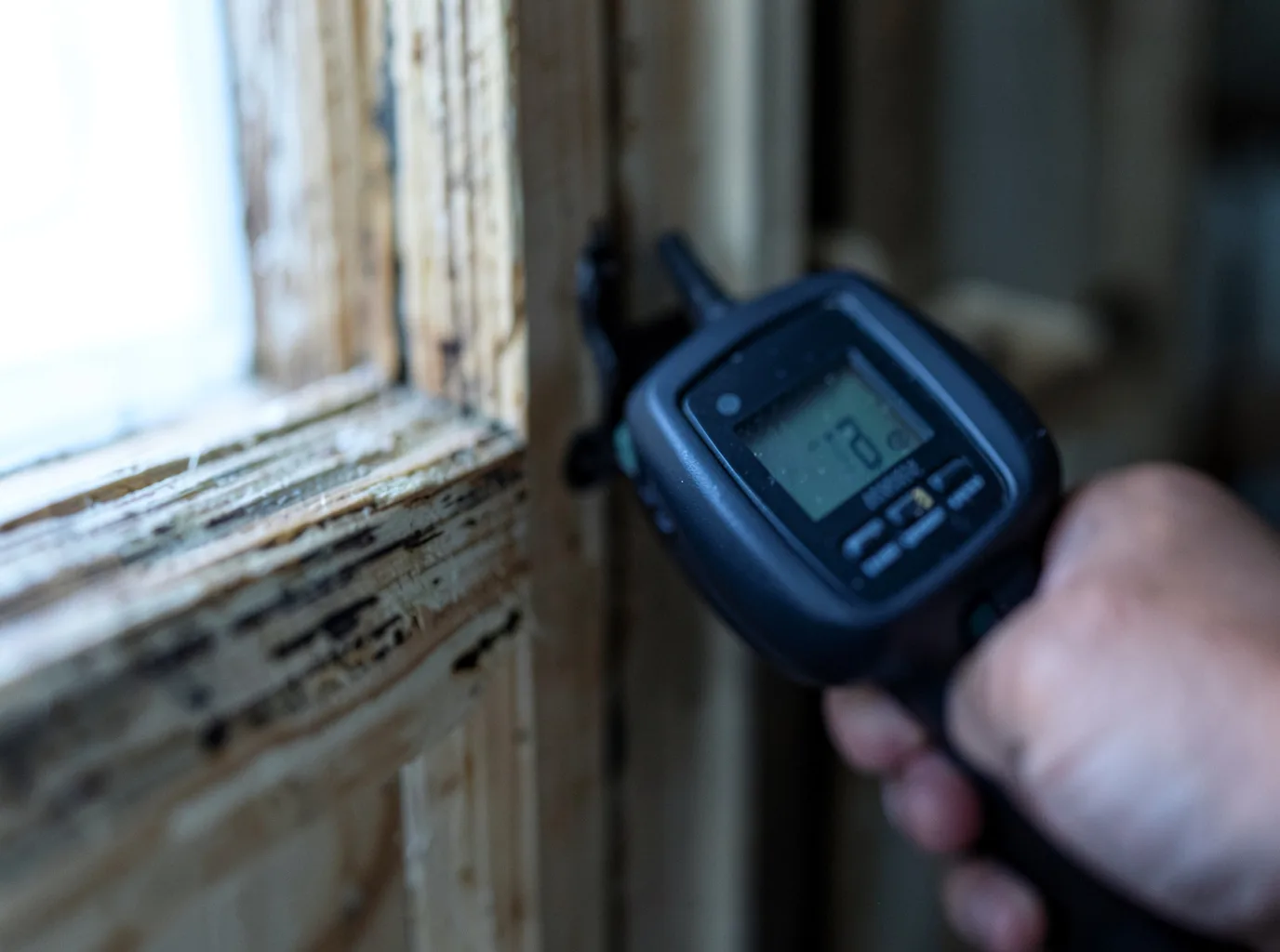 Moisture Inspection And Documentation in Pelzer, SC